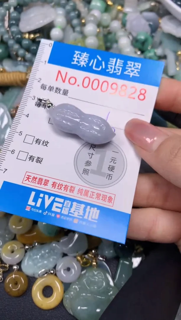 【闪购商品】翡翠颈饰未镶嵌含绳0009828