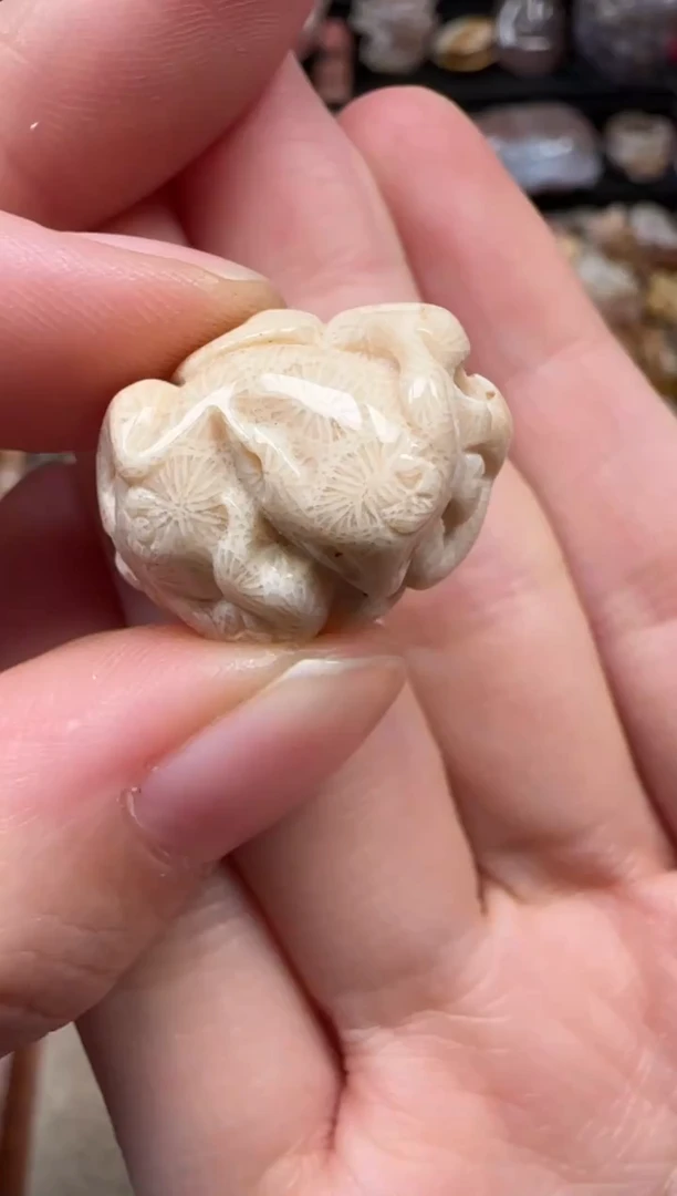 颈饰未镶嵌硅化珊瑚（珊瑚玉）285