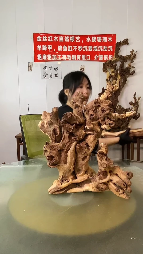 木林*金丝红木 羊蹄甲