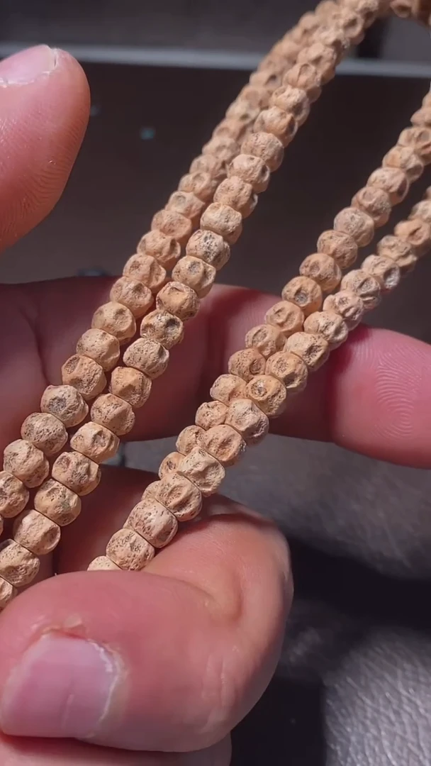 柏香籽（多样性发货，发其一）