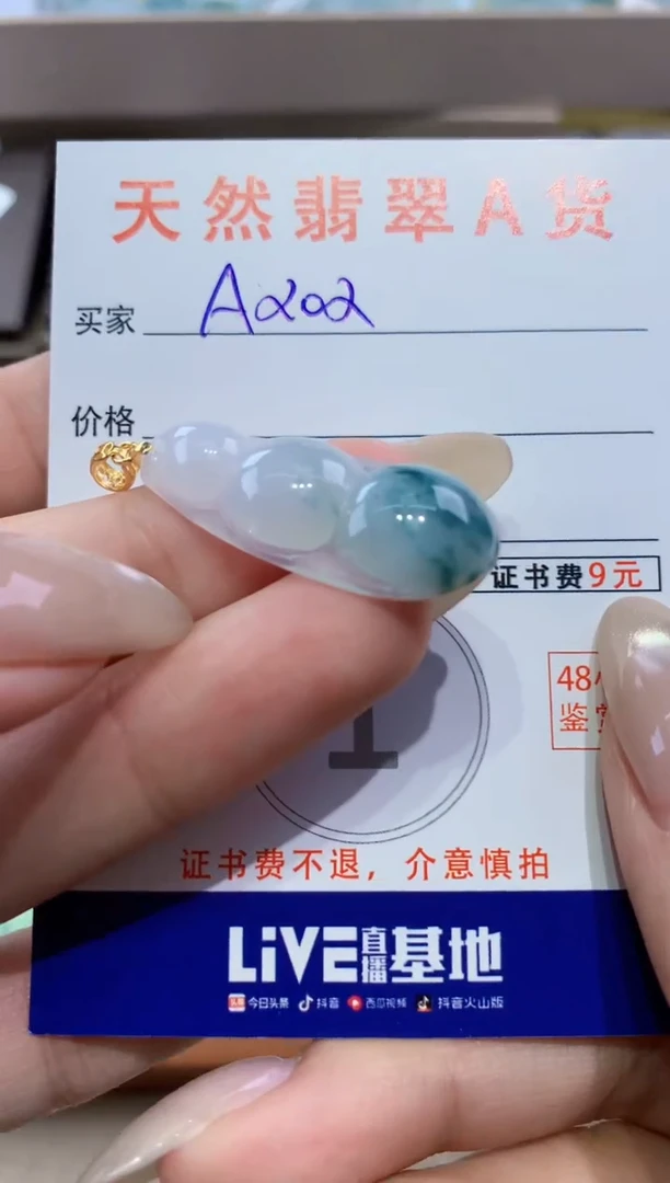 颈饰未镶嵌翡翠天然翡翠A货挂件