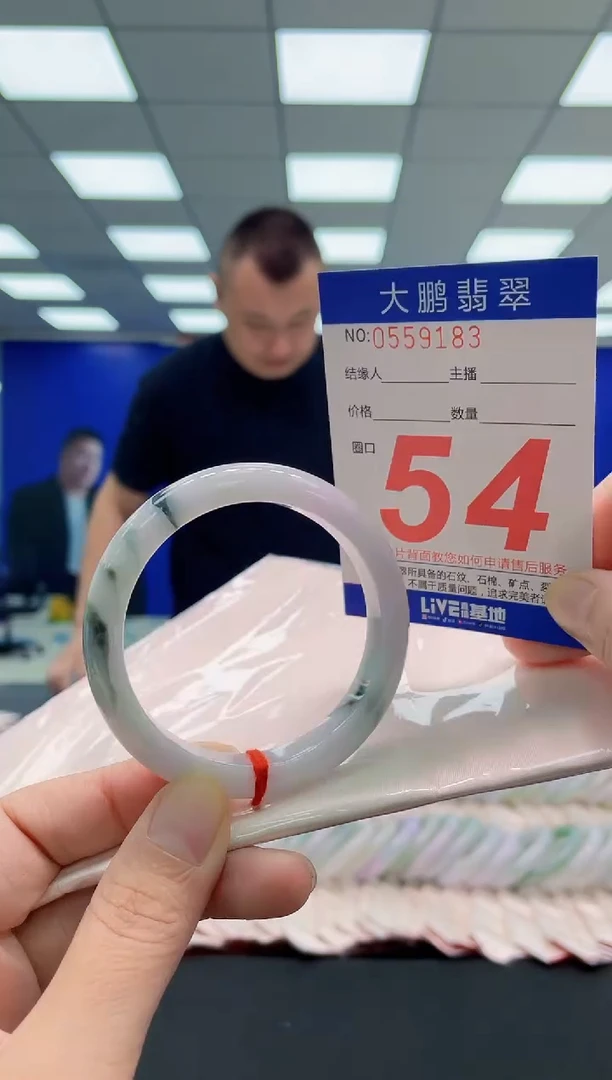 未镶嵌手镯翡翠AAAAAAAAA