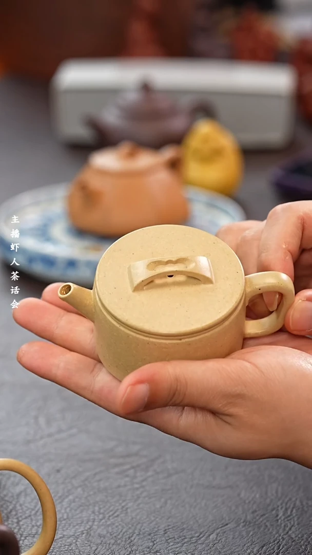 茶壶紫砂宜兴原矿高端紫砂