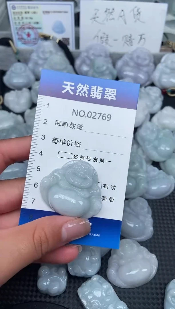 颈饰未镶嵌翡翠纯天然A货翡翠2769