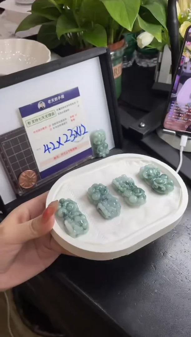 【闪购商品】翡翠挂件未镶嵌貔貅FL8配绳/多样性发其一CP