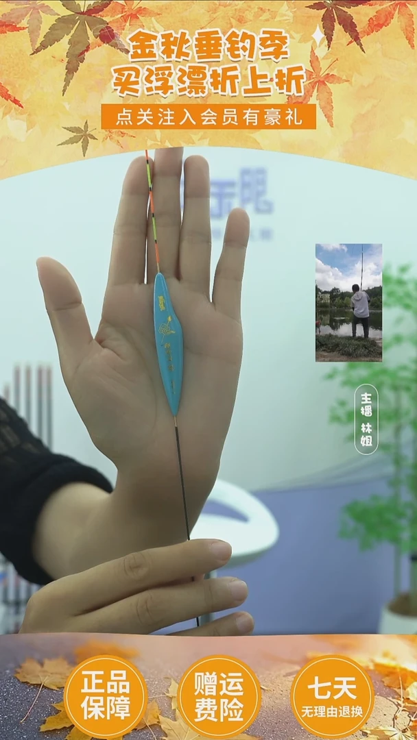 复合材质767二代升级版2支1.8克