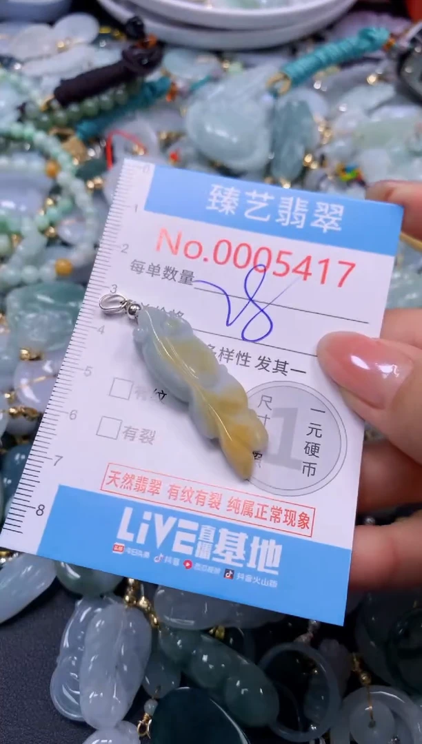 颈饰未镶嵌翡翠5417