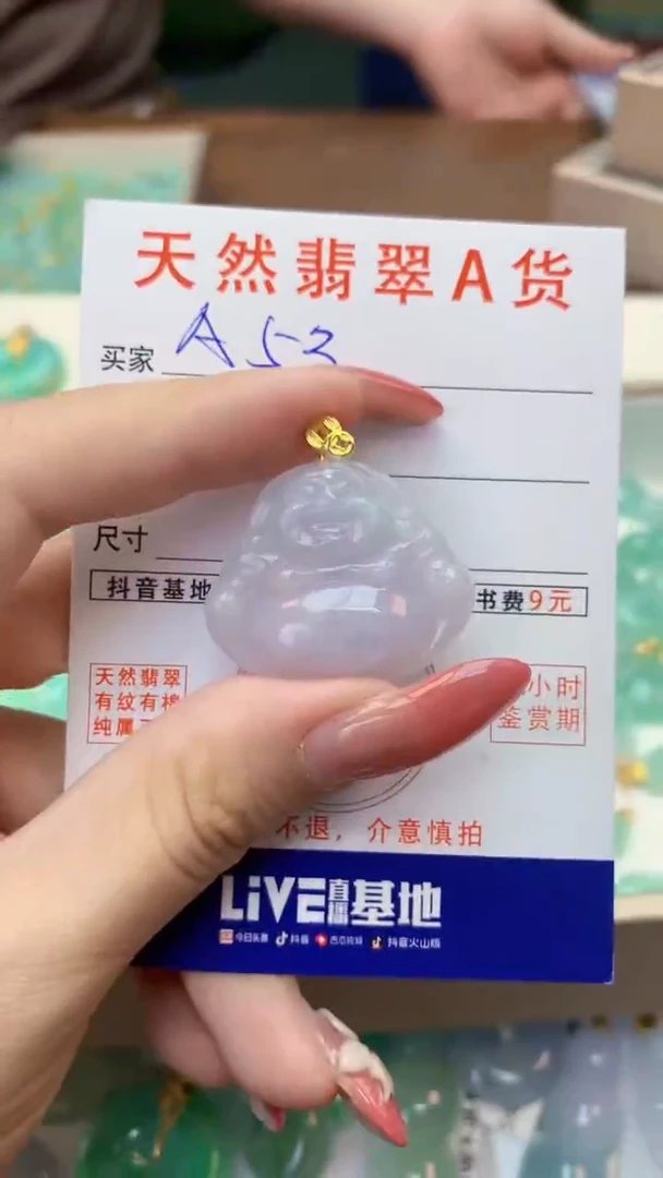 颈饰未镶嵌翡翠天然A货翡翠挂件