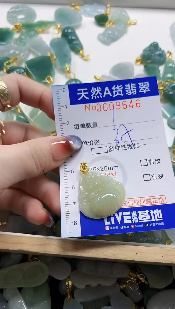 颈饰未镶嵌翡翠天然A货翡翠