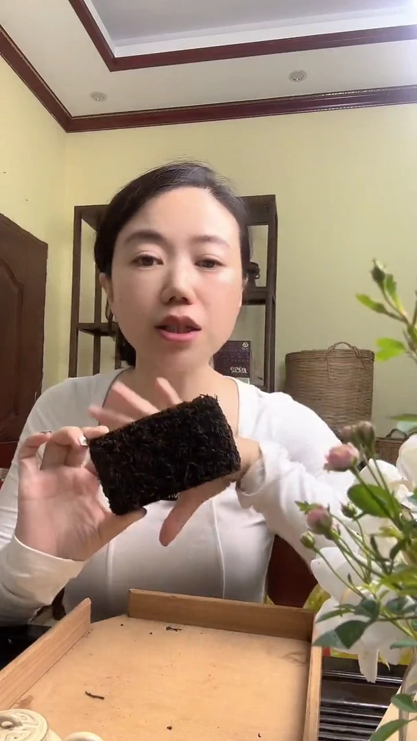 彩选单品2010糯香小方砖六堡茶90g