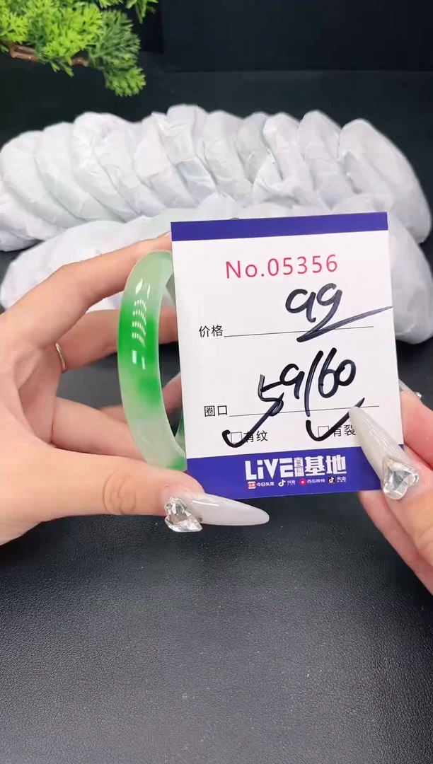 未镶嵌手镯翡翠5356