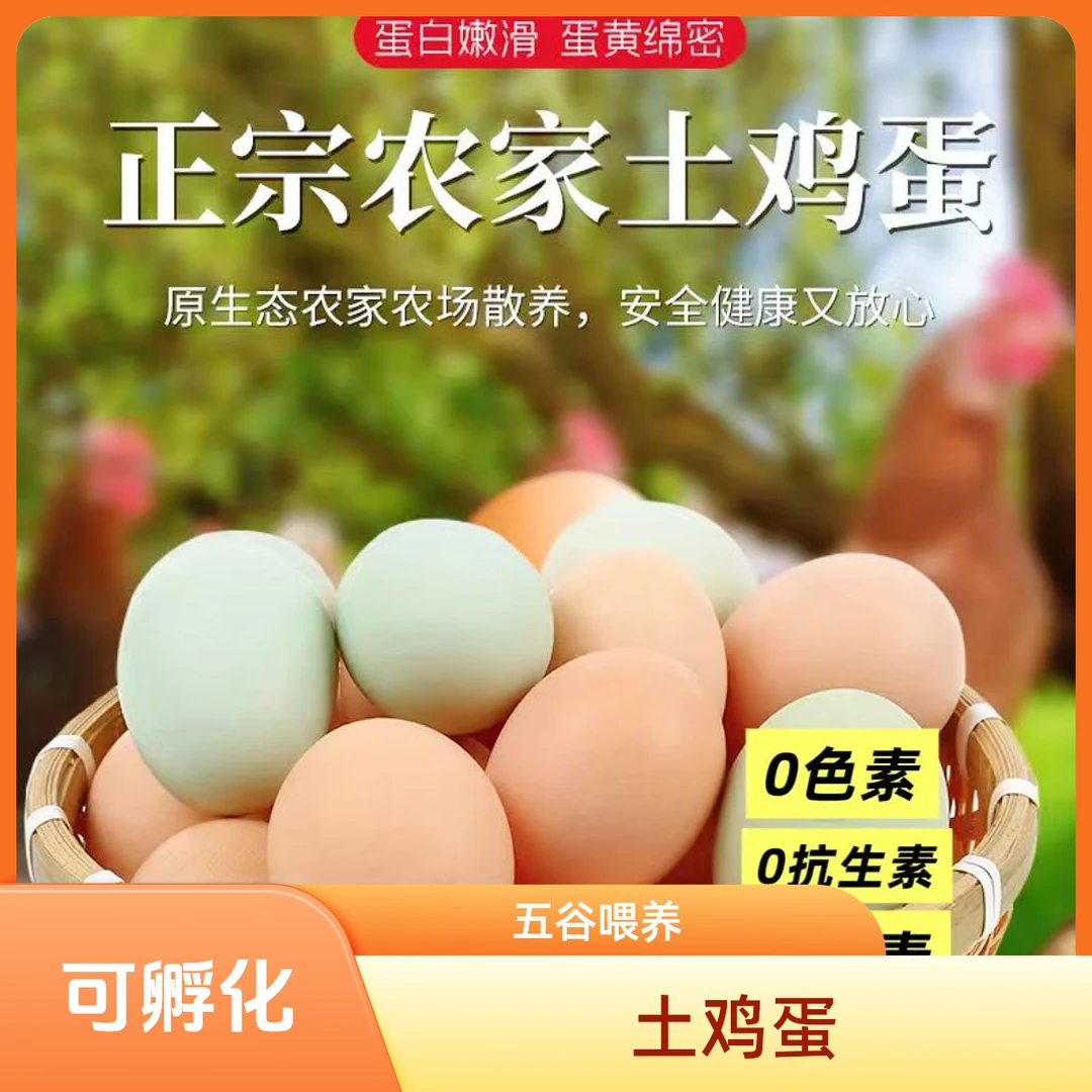 【土鸡蛋】【粉绿混装】农家散养 五谷喂养 营养健康 受精蛋可孵化