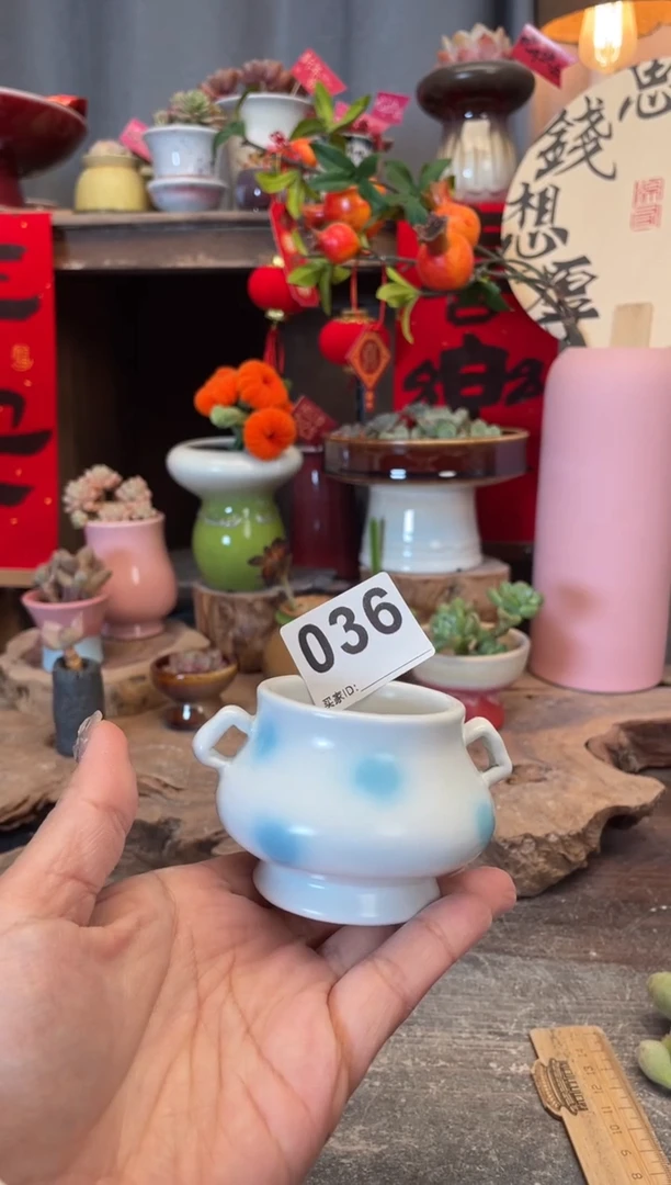 【闪购商品】摆件036知木小芳花盆