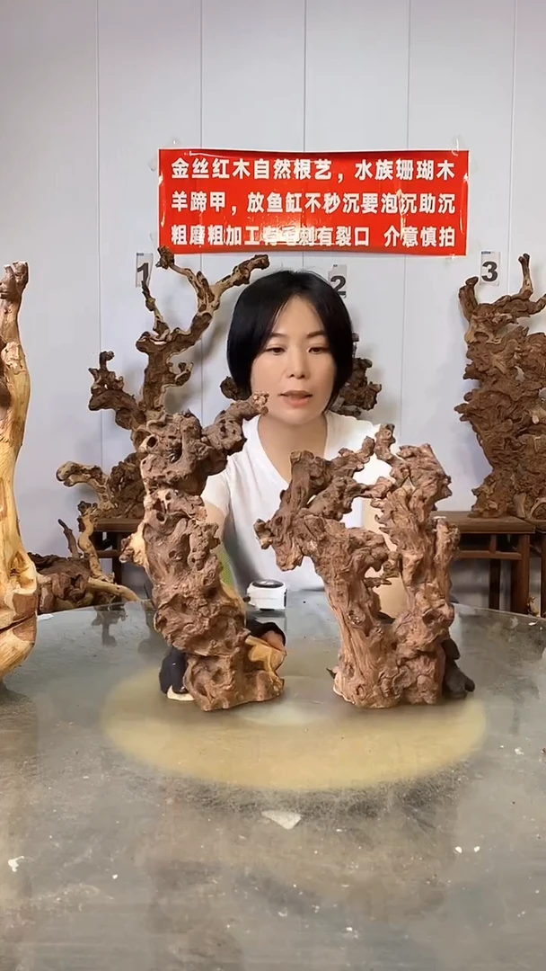 香榧木金丝红木 羊蹄甲