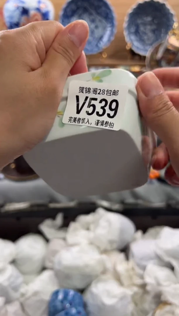 瓷片吹****海       V539