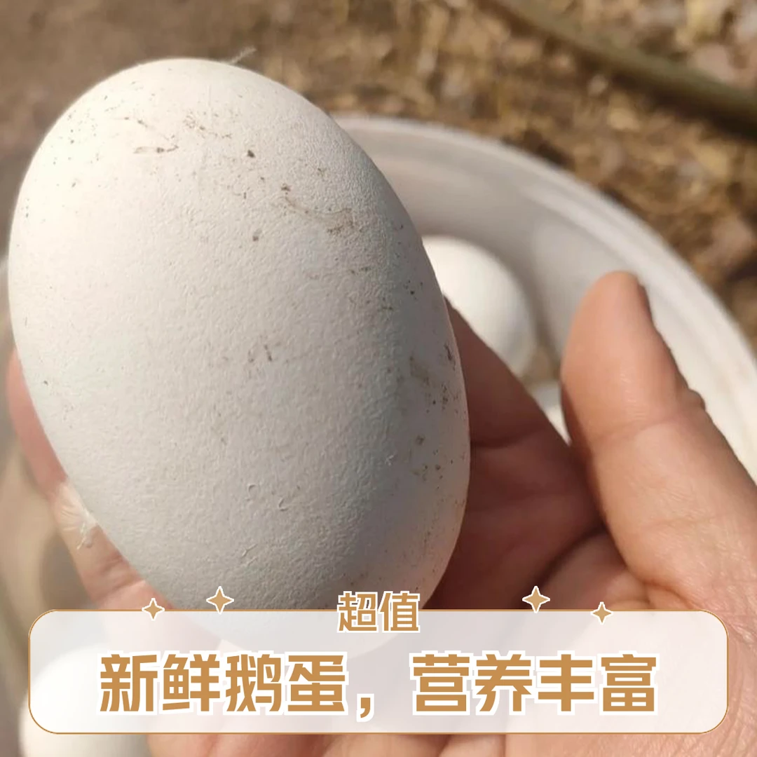 延庆高山散养鹅蛋12枚1200g