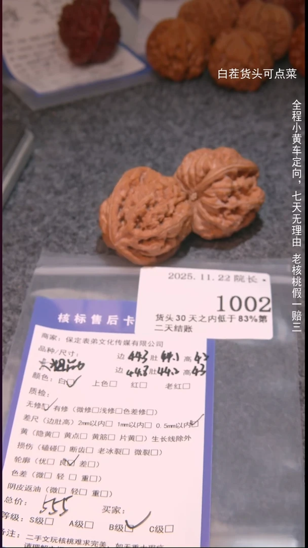把件文玩核桃贝*大粗筋1002諘帝文化