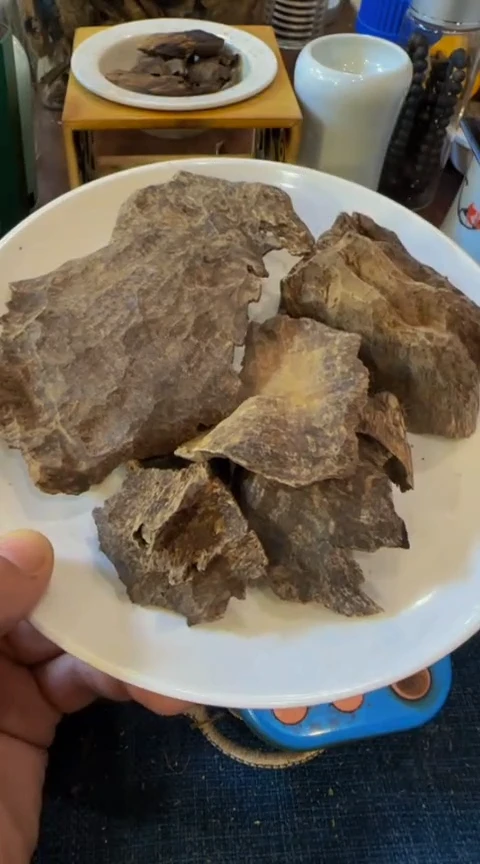 【闪购商品】沉香摆件海南铁壳块料51克