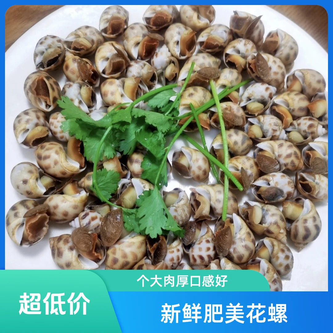 海鲜花螺500克