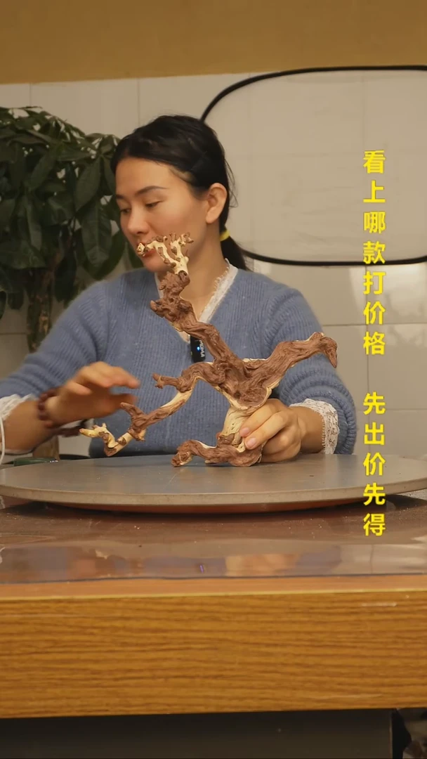 木?****?金丝红木305