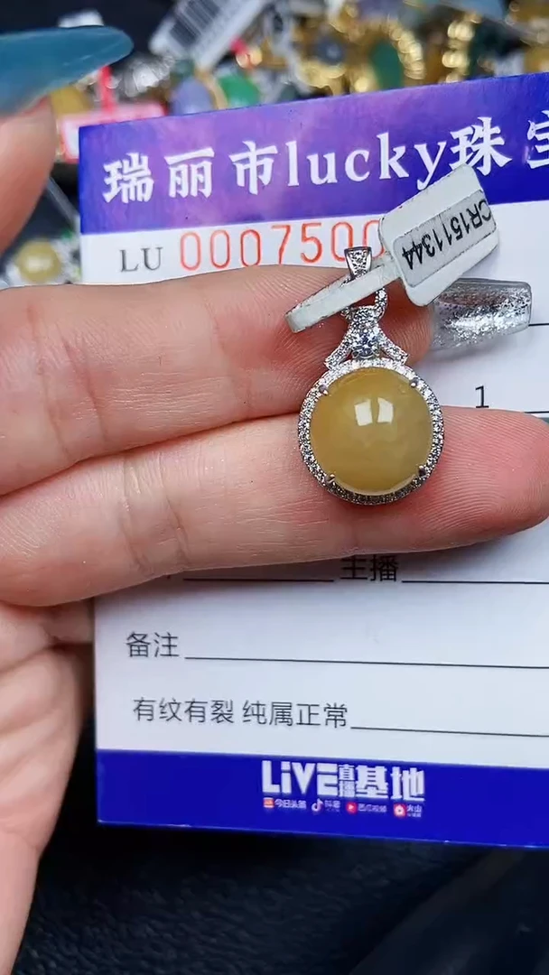 颈饰银S925镶嵌翡翠7500