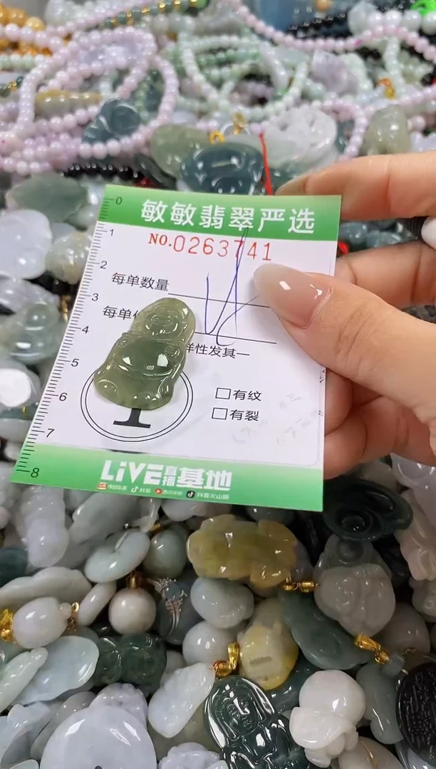 翡翠未镶嵌颈饰闪购0263741