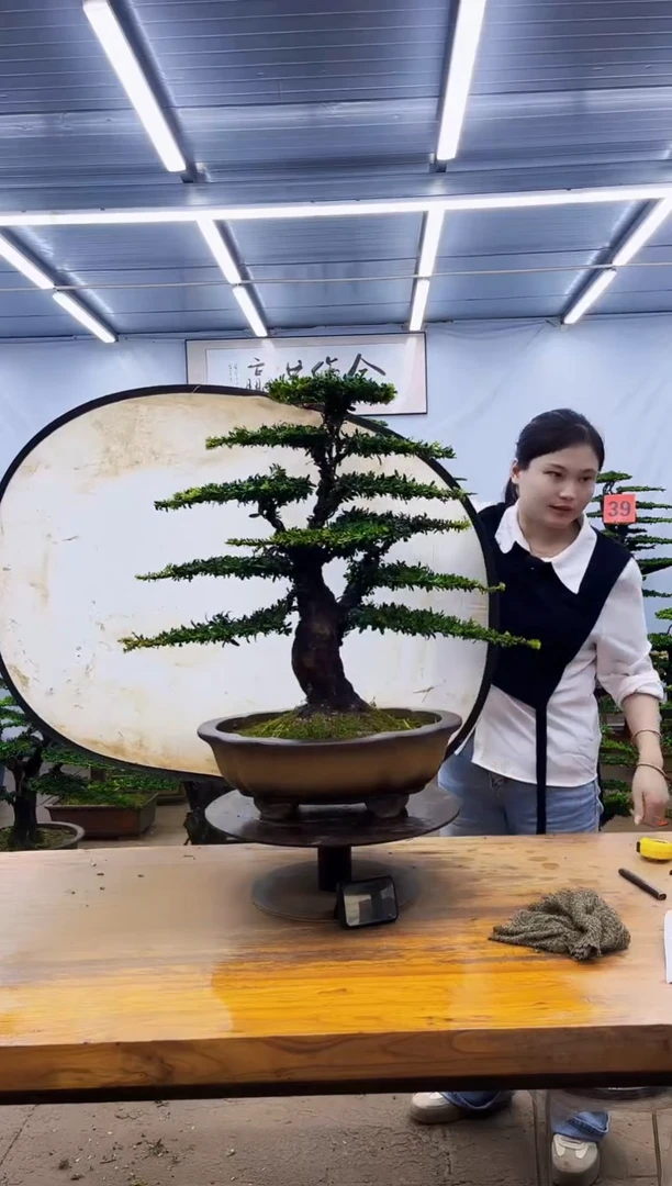 无花朵一物一拍，所见即所得