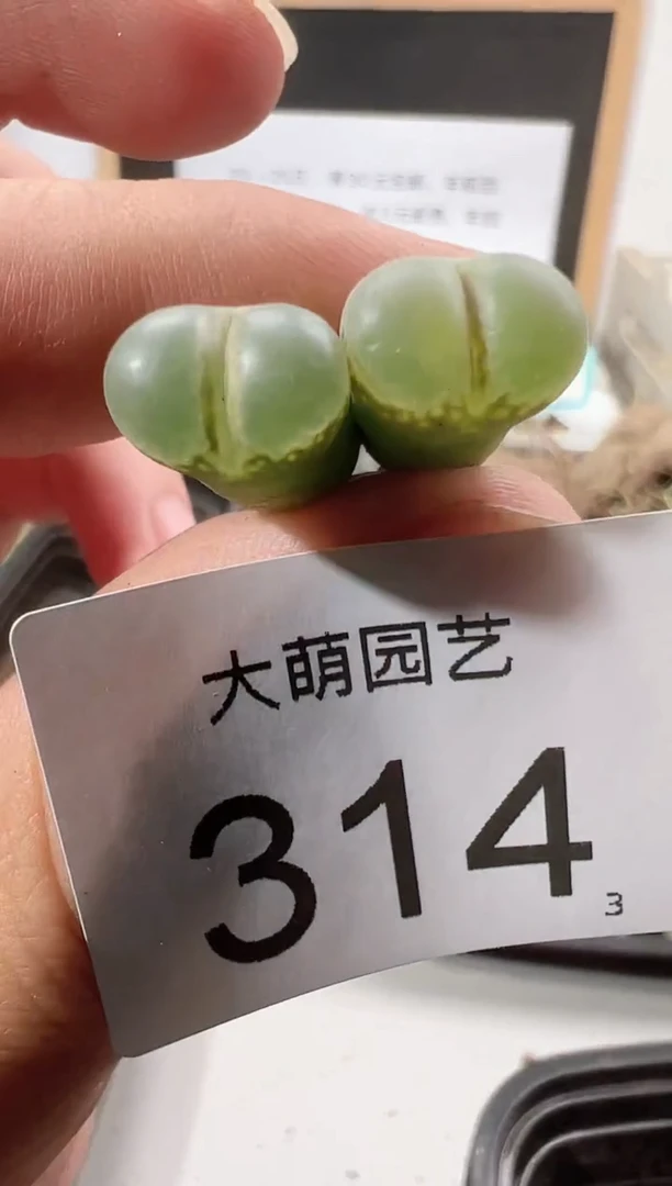 【闪购商品】++++314