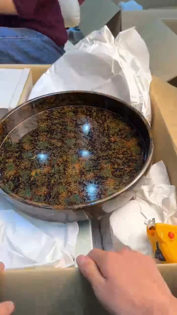 瓷片晴*子88888888      342