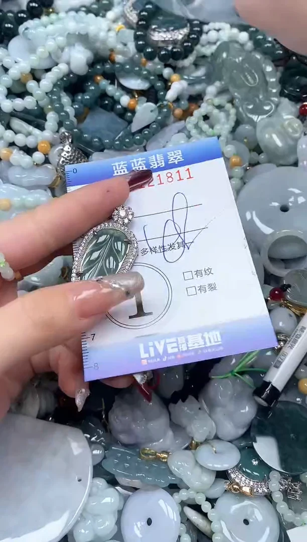 【闪购商品】翡翠颈饰未镶嵌闪购0121811