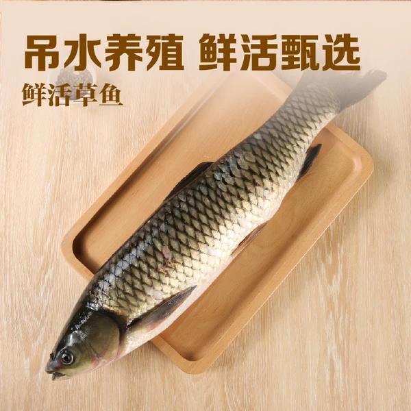 【安心鱼】鲜活吊水草鱼 1条(750-1000g)