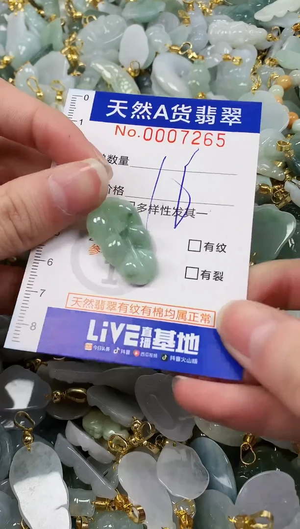 颈饰未镶嵌翡翠纯天然a货翡翠