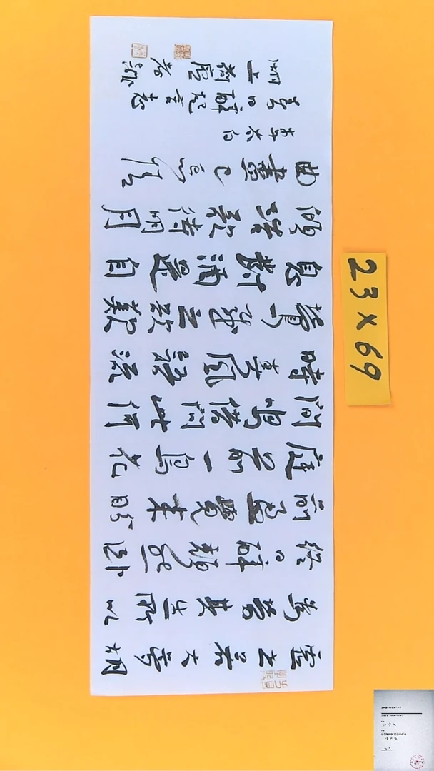 【闪购商品】书法江孝龙书法作品春日醉23*69