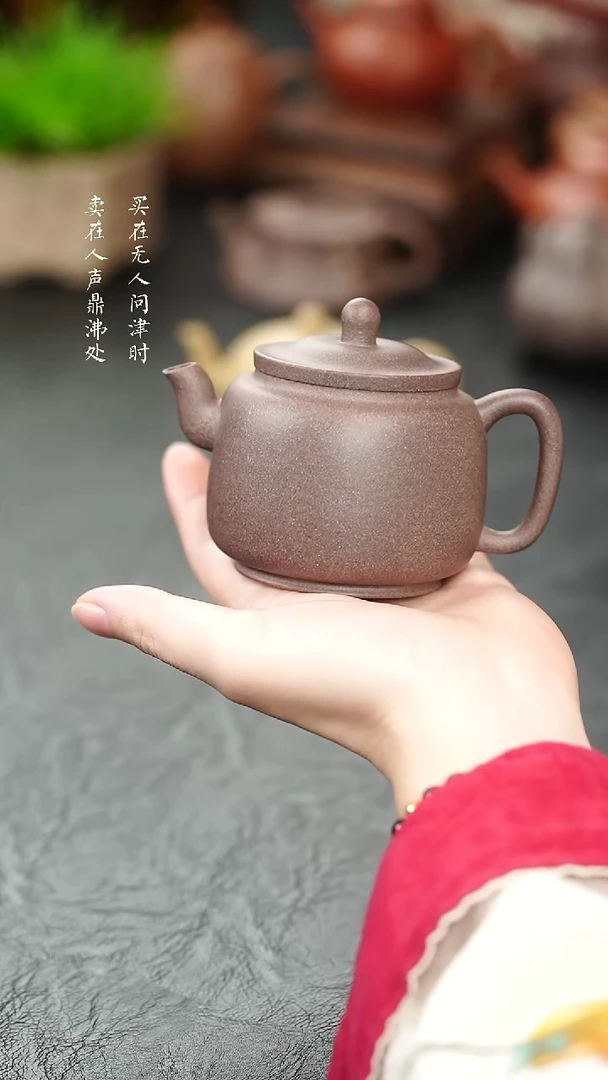 茶壶紫砂拾珍堂墨林壶