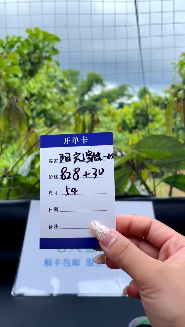 非金属无阳****切手镯下单链接一单一付