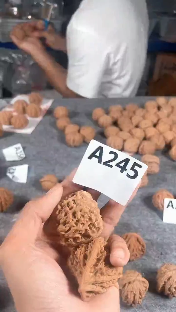 把件文玩核桃45管帽核桃全品无修