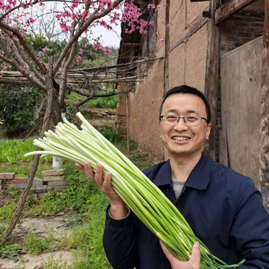四川农家新鲜蒜苔农家自种