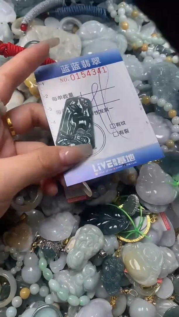 【闪购商品】翡翠颈饰未镶嵌闪购0154341