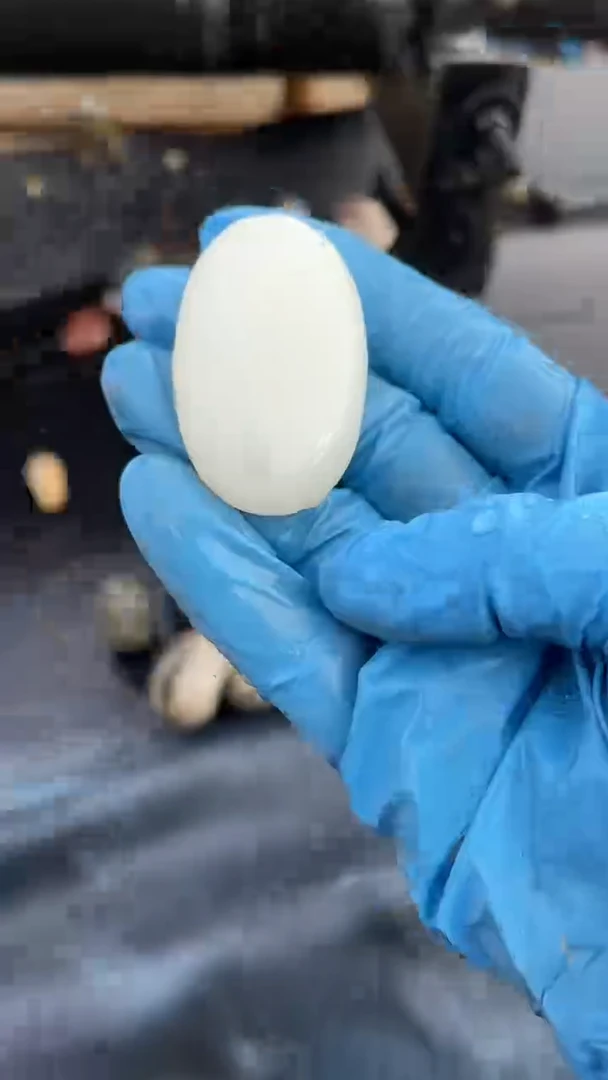 颈饰未镶嵌和田玉（糖玉）0015