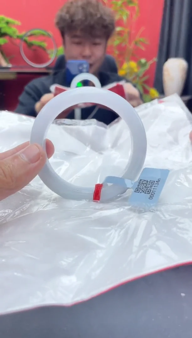 未镶嵌手镯翡翠5
