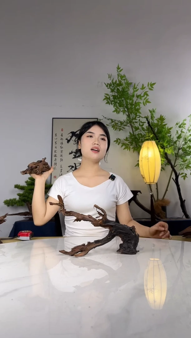 A****A拍这个定向编号102