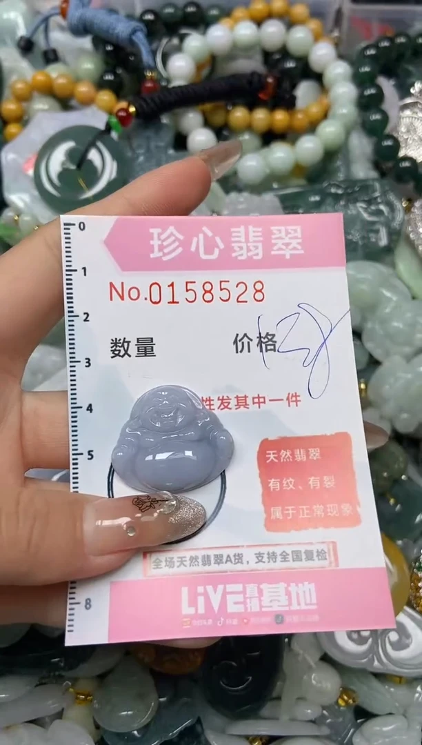 【闪购商品】翡翠颈饰未镶嵌闪购0158528