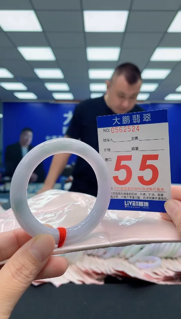 未镶嵌手镯翡翠AAAAAAAAA
