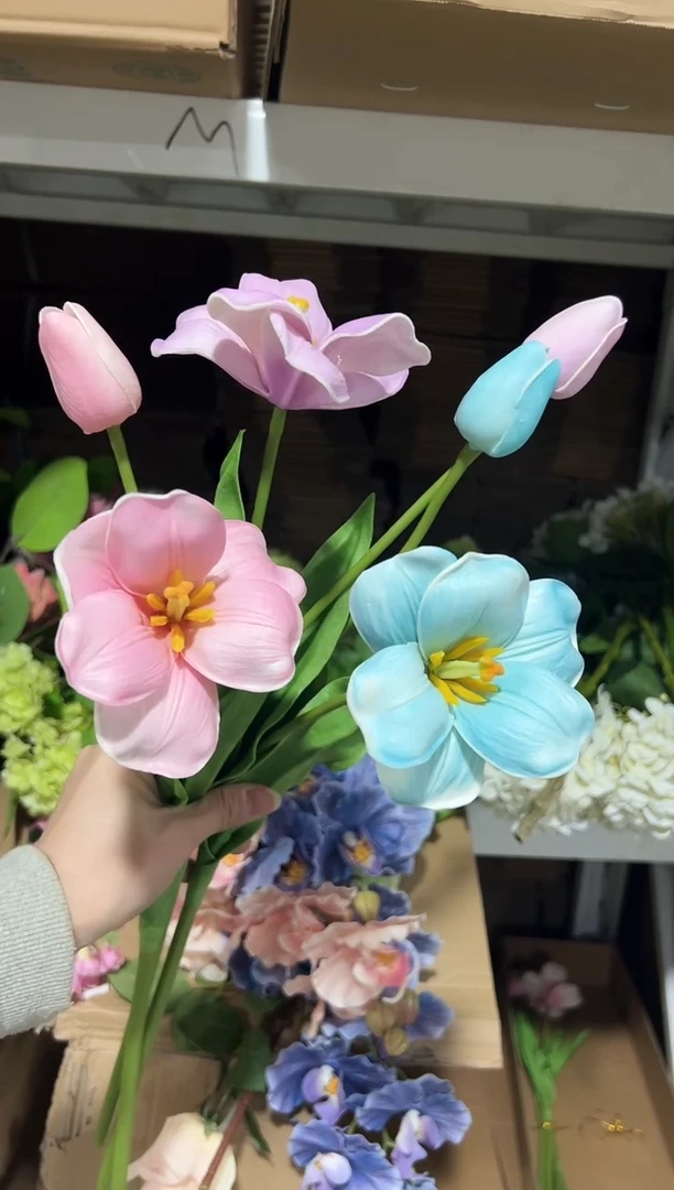 3枝混色2头布朗尼