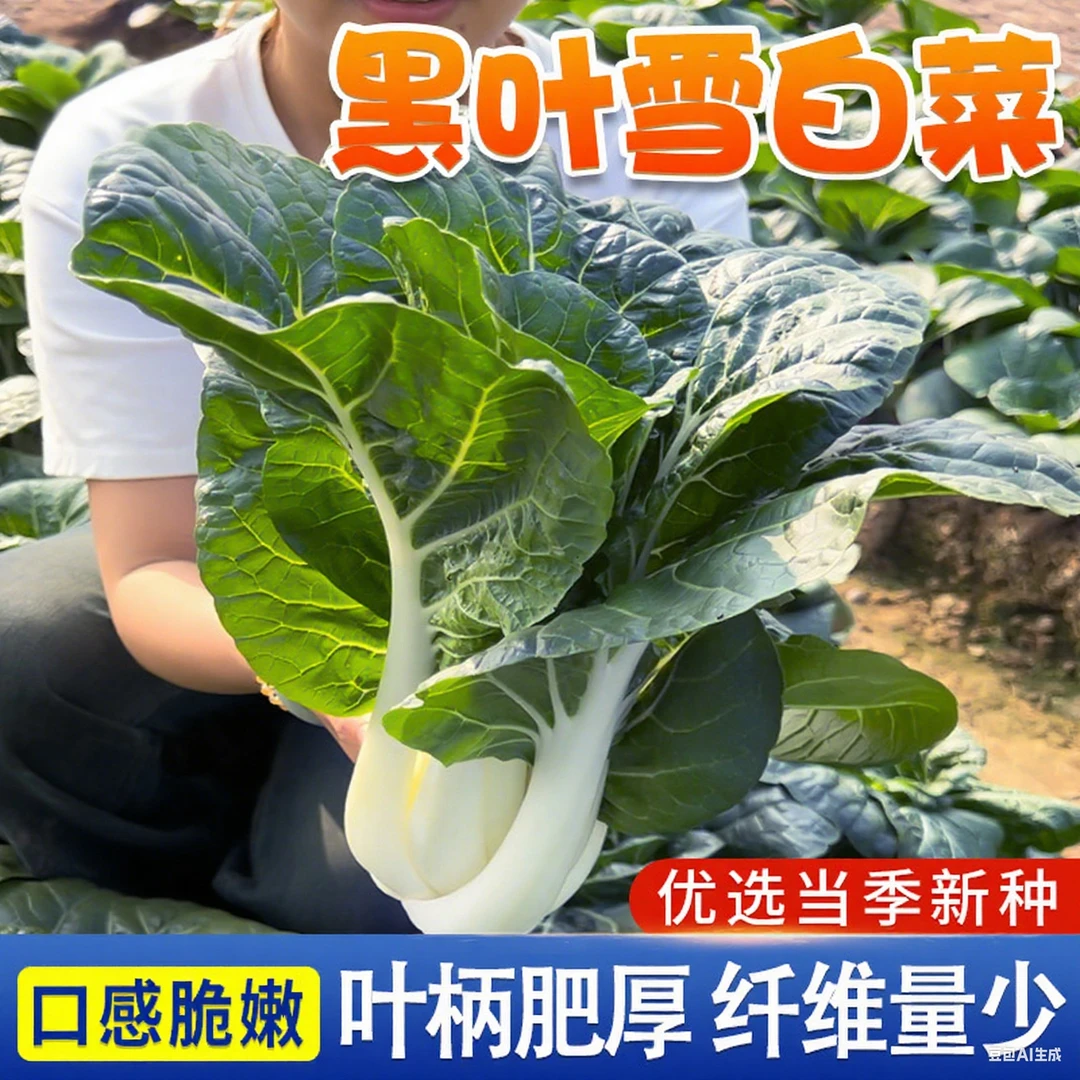 黑叶雪白菜种子奶白菜种子矮脚小白菜阳台田园易种蔬菜青菜种籽lz