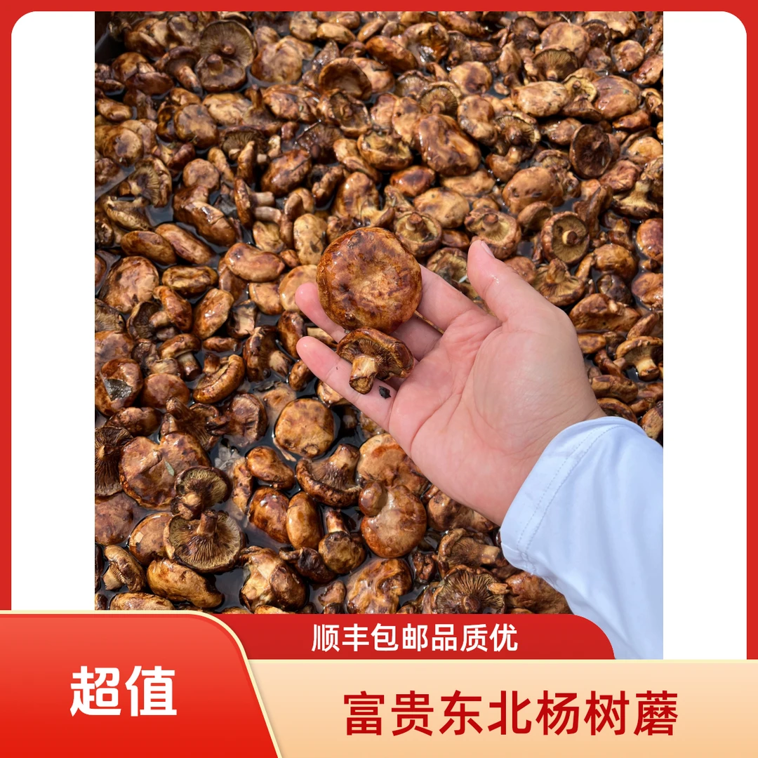 2025精品油磨丁 【焯水撒盐发货】