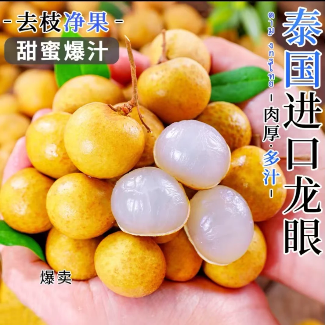 【礼盒装】泰国金标大龙眼现摘现发1-20斤包邮