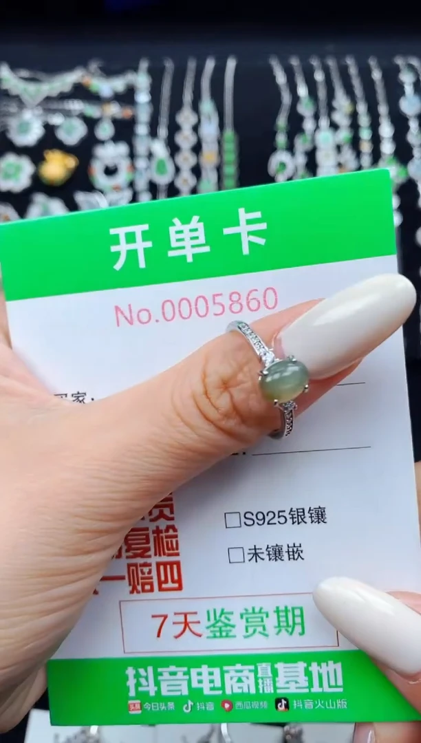 翡翠银S925镶嵌颈饰5860
