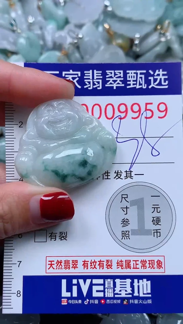 颈饰未镶嵌翡翠9959