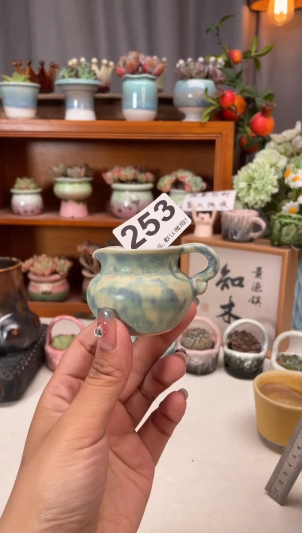 瓷片葛253知木小芳花盆编号